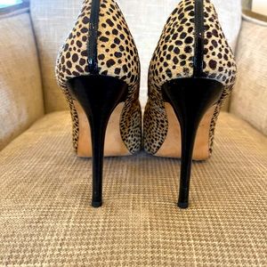 Ann Taylor Animal Print